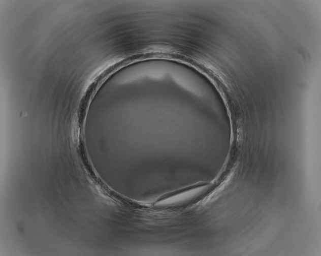 X0000112951117200909071109