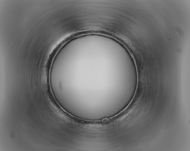 X0000112951118200909071109