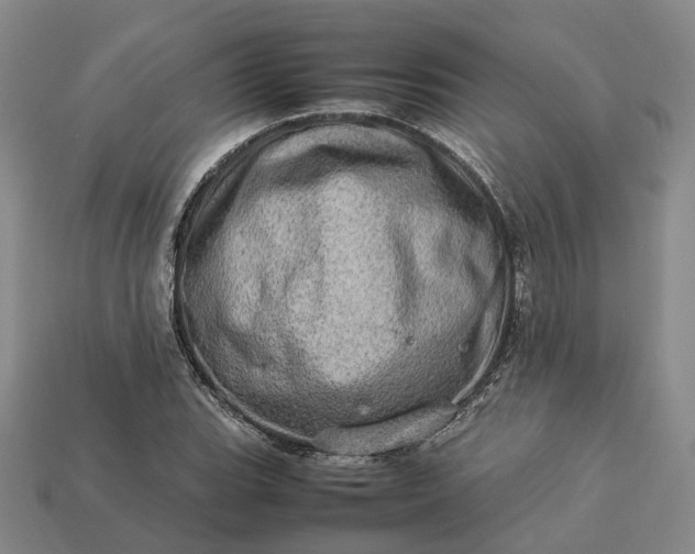 X0000112951119200909071109