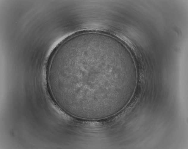 X0000112951120200909071109