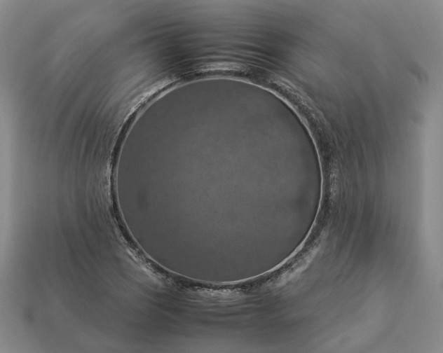 X0000112951121200909071110