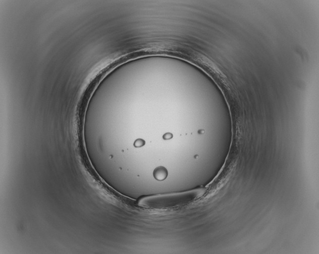 X0000112951122200909071110