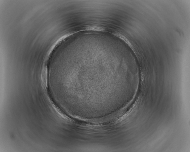 X0000112951123200909071110