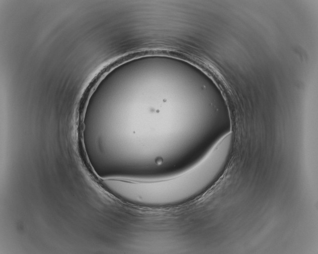 X0000112951124200909071110