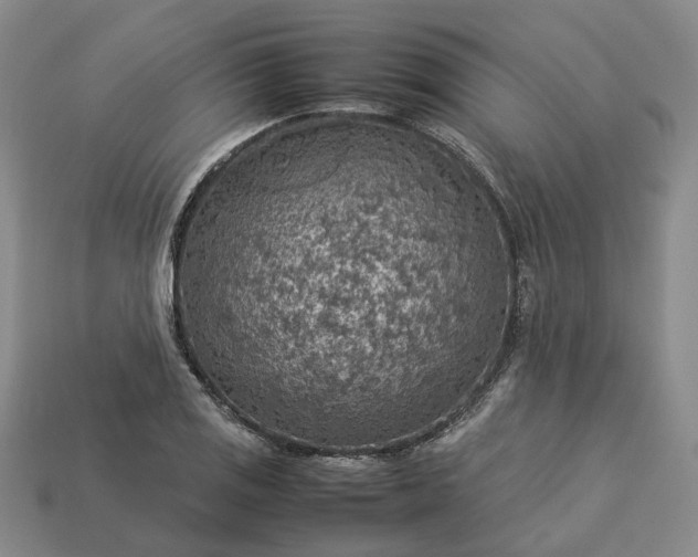 X0000112951125200909071110