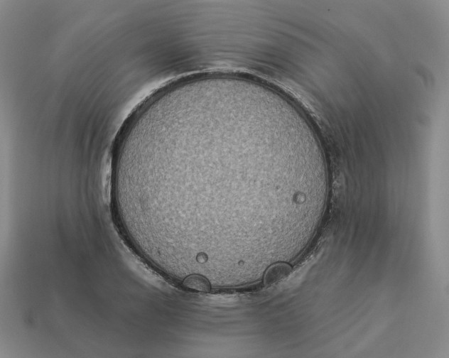 X0000112951126200909071110