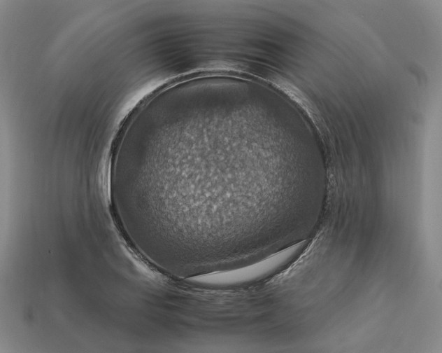 X0000112951127200909071110