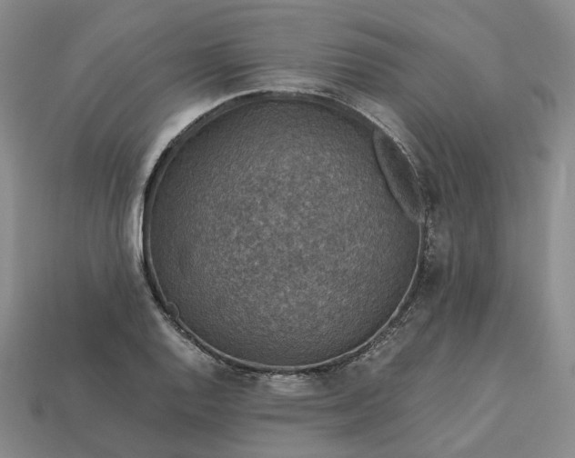 X0000112951128200909071110