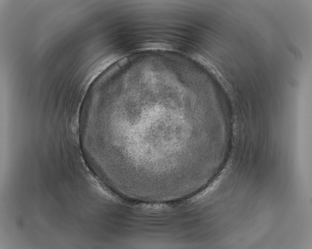 X0000112951129200909071110