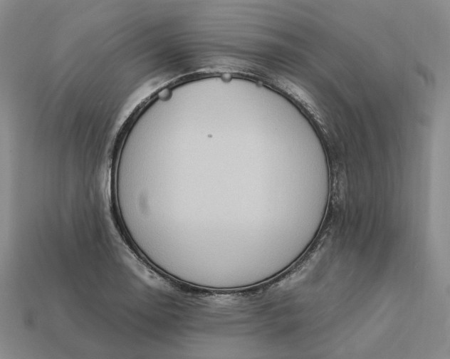 X0000112951130200909071110