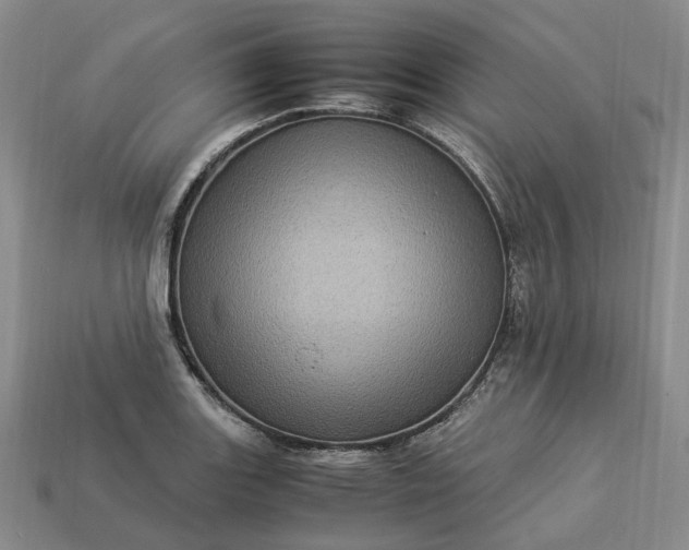 X0000112951131200909071110