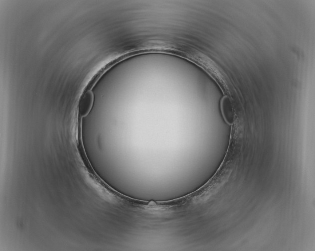 X0000112951132200909071110