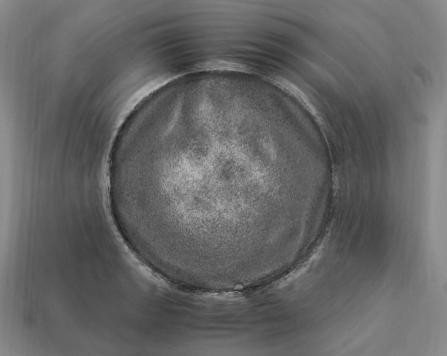 X0000112951133200909071110