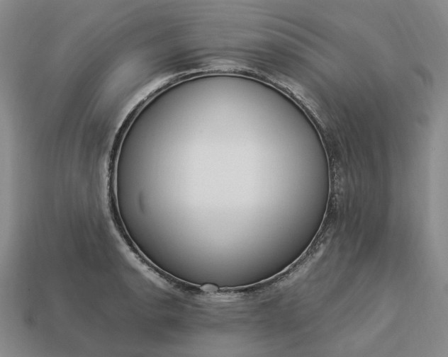 X0000112951134200909071110