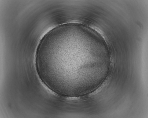 X0000112951135200909071110