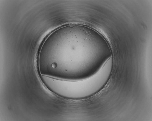 X0000112951136200909071110