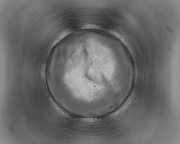 X0000112951137200909071110