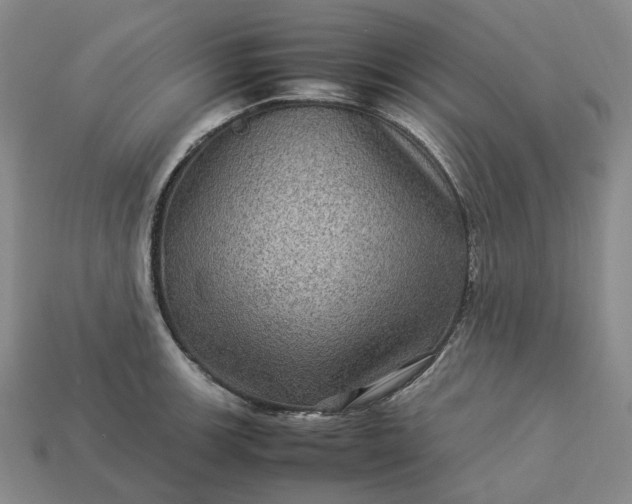 X0000112951139200909071110