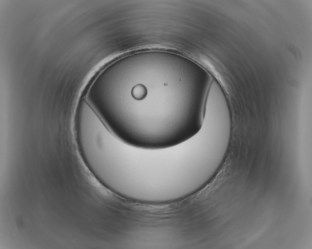 X0000112951140200909071110