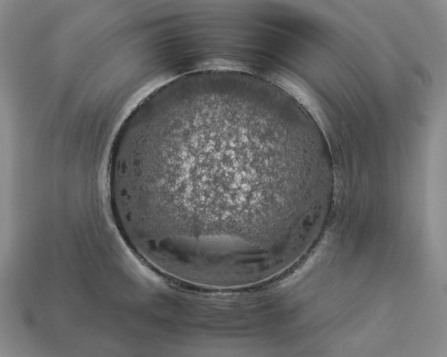 X0000112951141200909071110