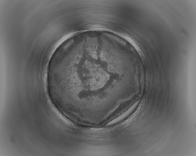 X0000112951142200909071110