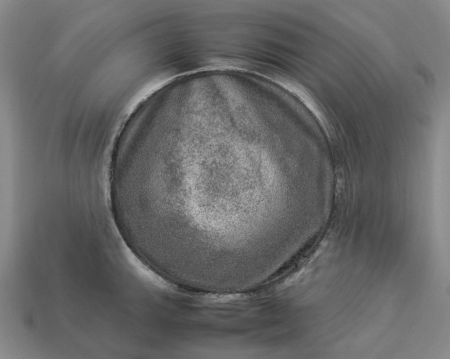 X0000112951143200909071110