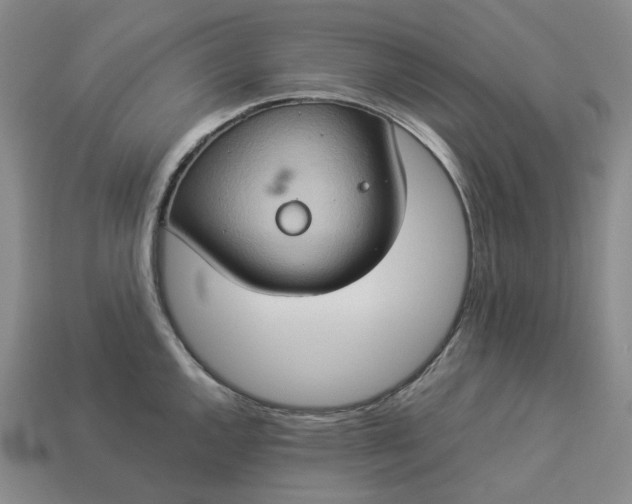 X0000112951144200909071110