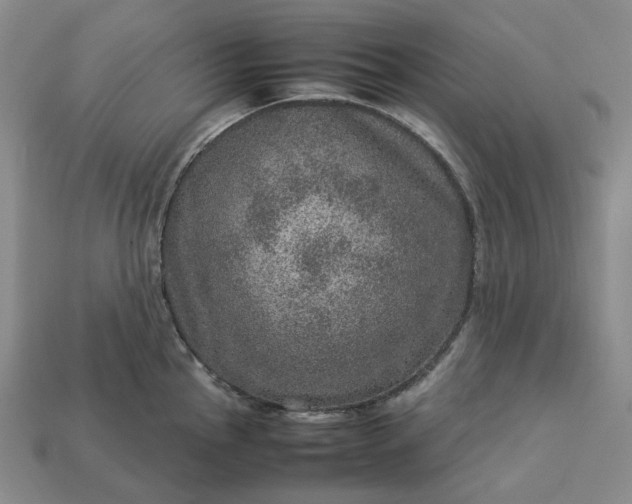 X0000112951145200909071110