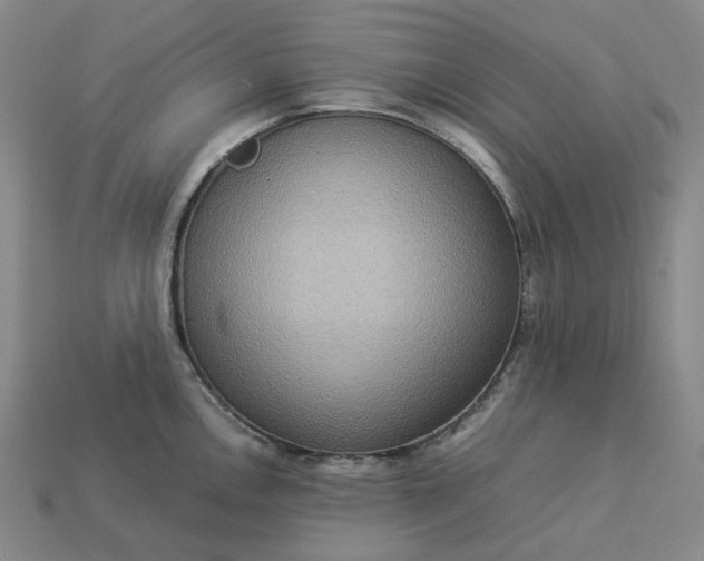 X0000112951146200909071110