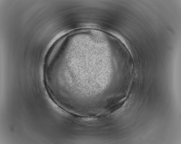 X0000112951147200909071110