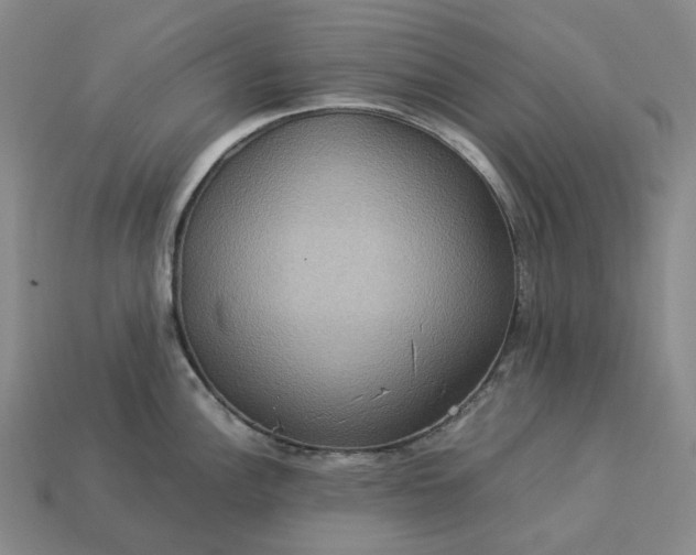 X0000112951148200909071110