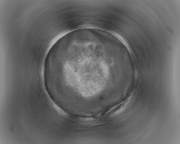 X0000112951149200909071110