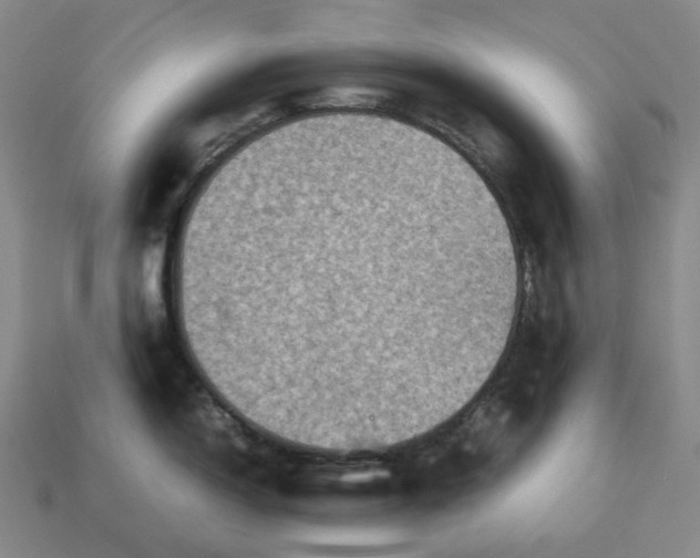 X0000112951150200909071110