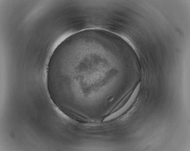 X0000112951151200909071110