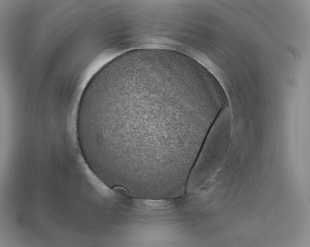 X0000112951152200909071110