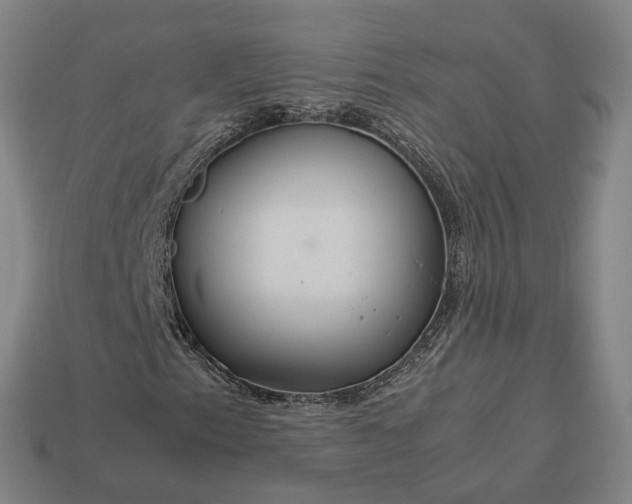 X0000112951153200909071109