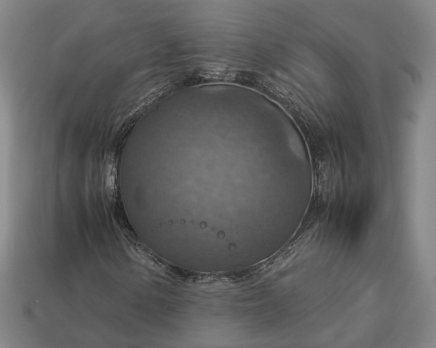 X0000112951154200909071109