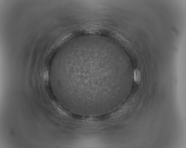 X0000112951155200909071109