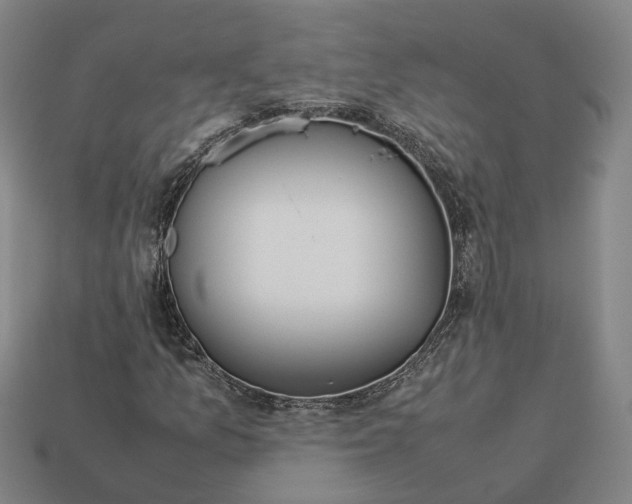 X0000112951157200909071109