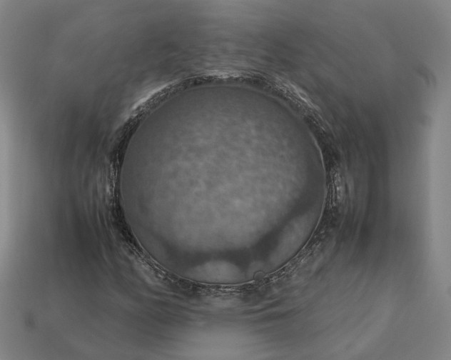 X0000112951158200909071109