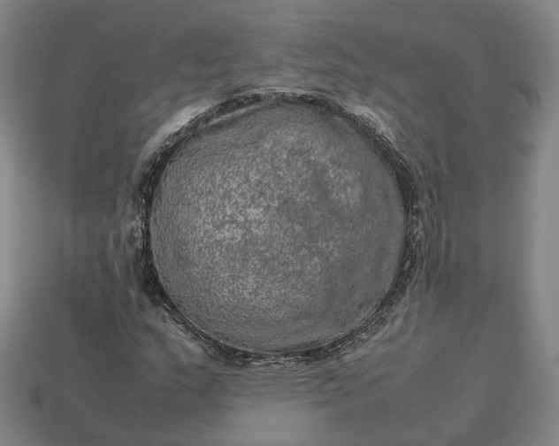 X0000112951159200909071109