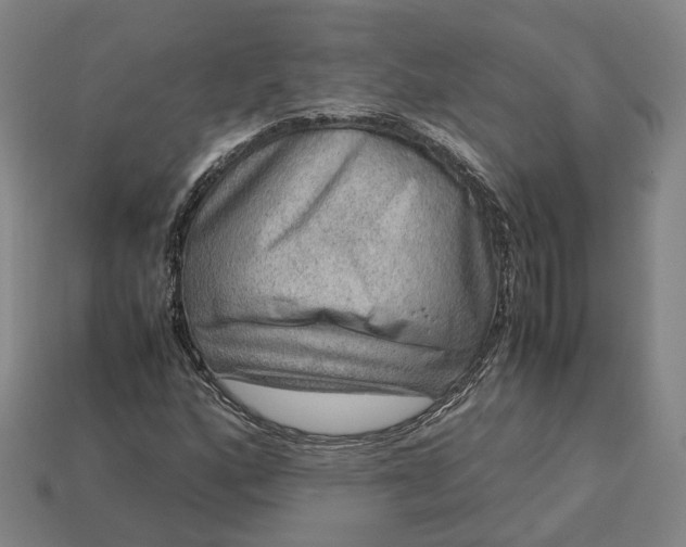 X0000112951160200909071109