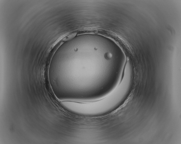 X0000112951162200909071109