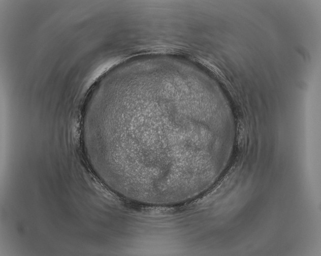 X0000112951163200909071109