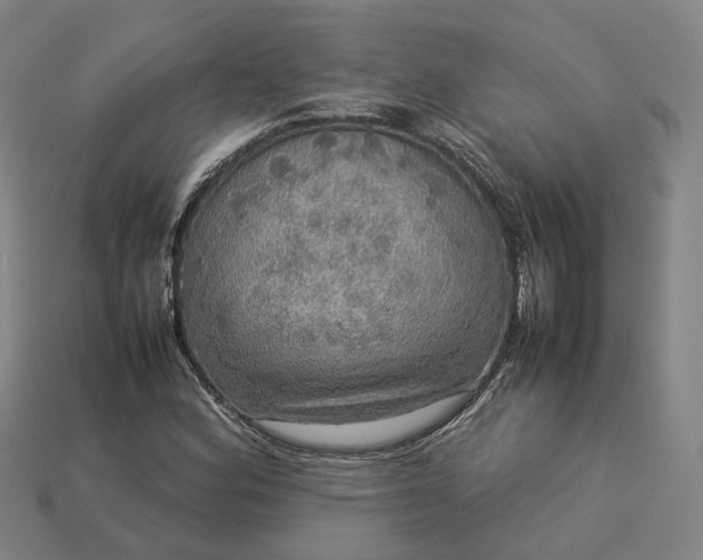 X0000112951164200909071109