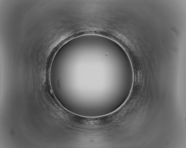 X0000112951165200909071109