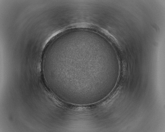 X0000112951166200909071109