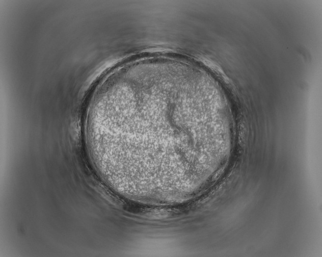 X0000112951167200909071109