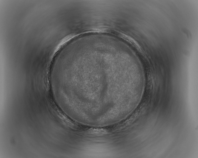 X0000112951168200909071109