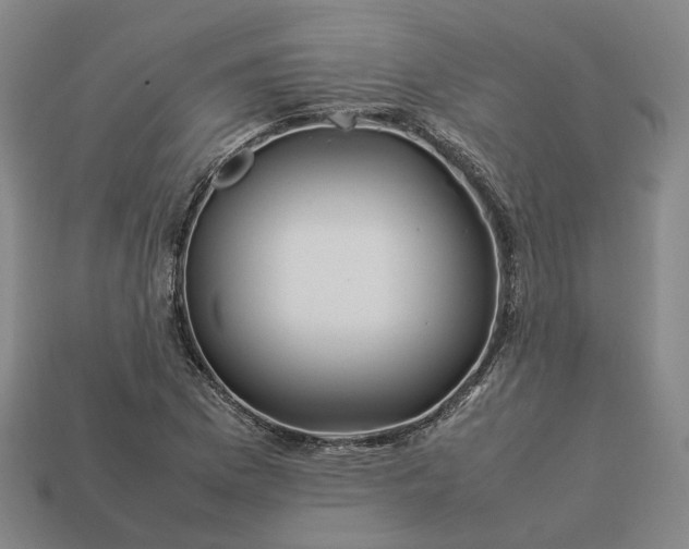 X0000112951169200909071109